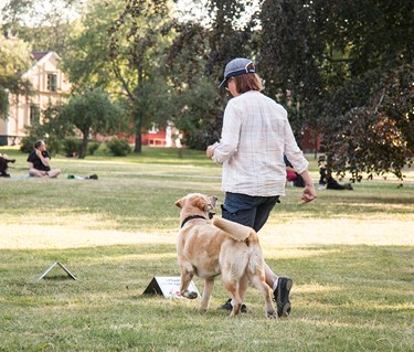 en förare med hund som tränar rallylydnad.