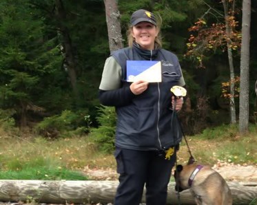 Årets brukshund 2013