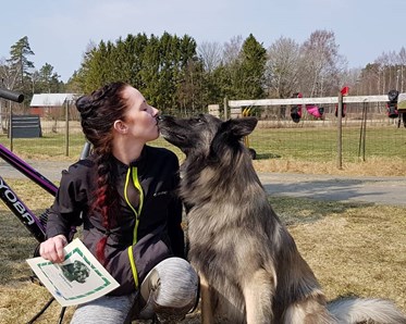 Bild på ett ekipage, Carolina och den belgiska vallhunden Texas
