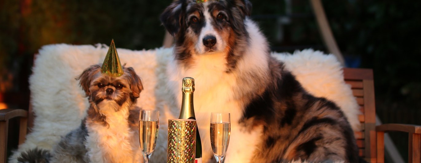 Hundarfirar nyår