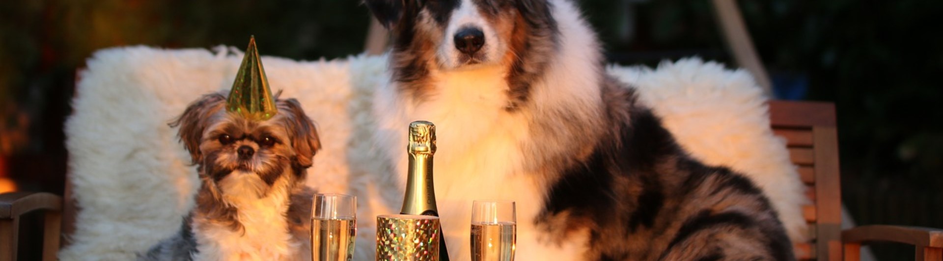 Hundarfirar nyår