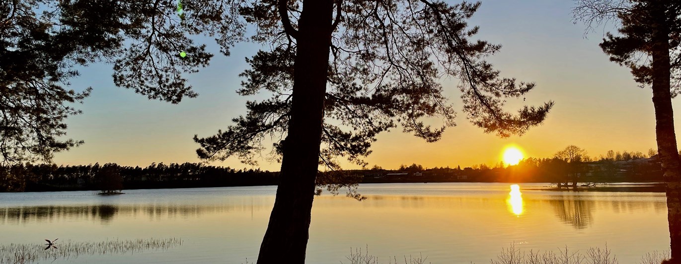 Mullsjö brukshundsklubb startsida