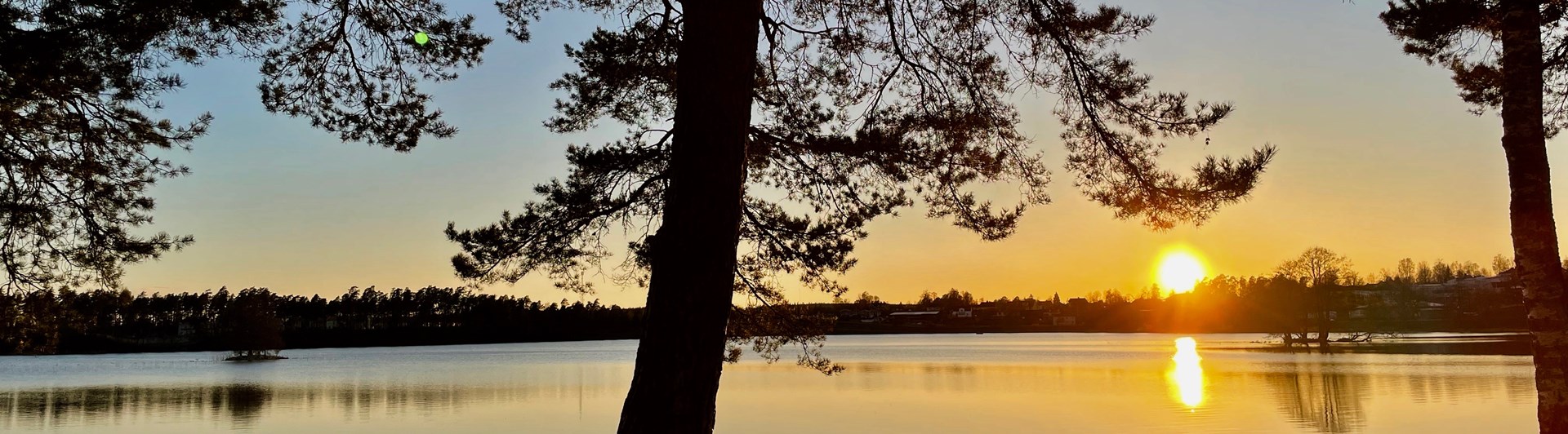 Mullsjö brukshundsklubb startsida