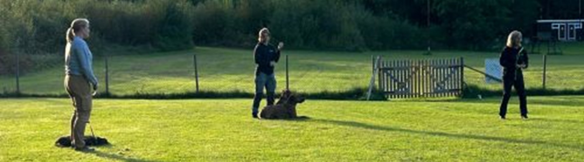 Valphage, kurstillfälle