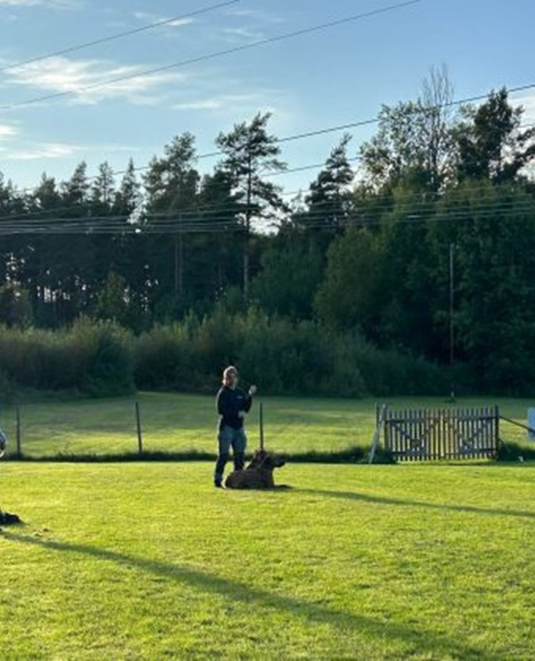 Valphage, kurstillfälle