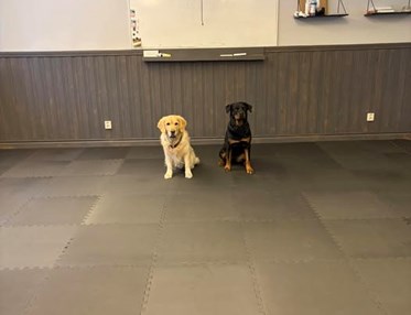 Lizzie och Izo tränar