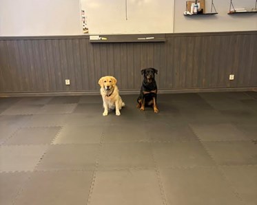 Lizzie och Izo tränar