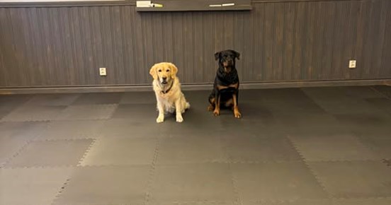 Lizzie och Izo tränar