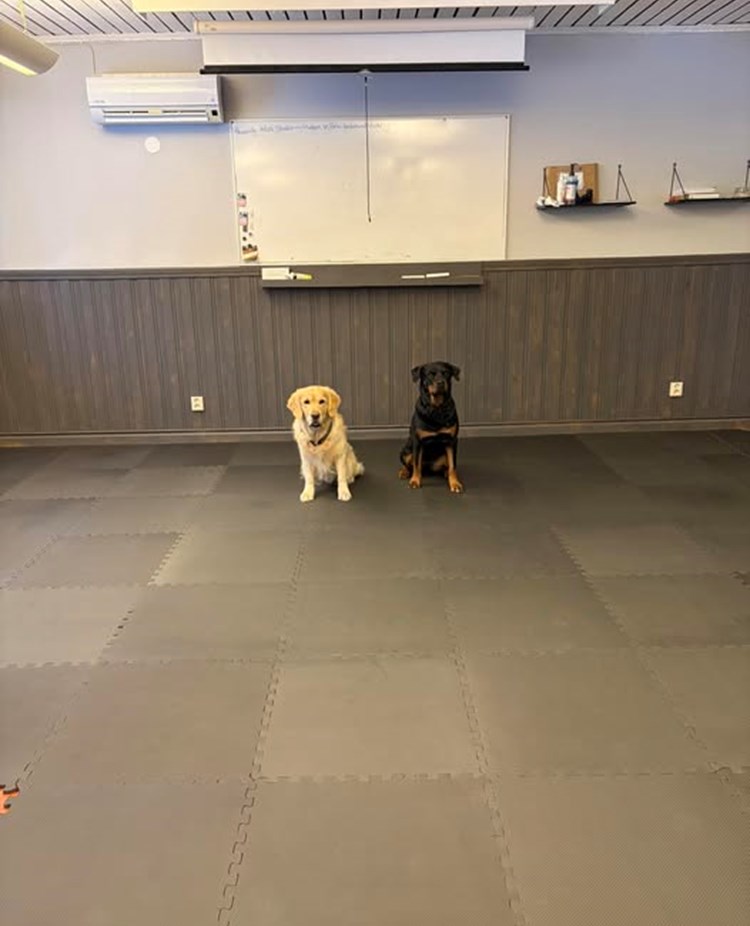 Lizzie och Izo tränar