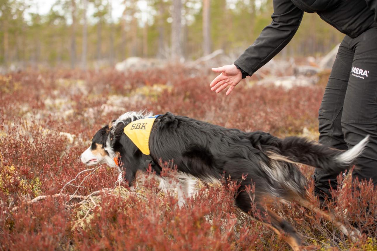 Hanna Högström med Emil i sök.
