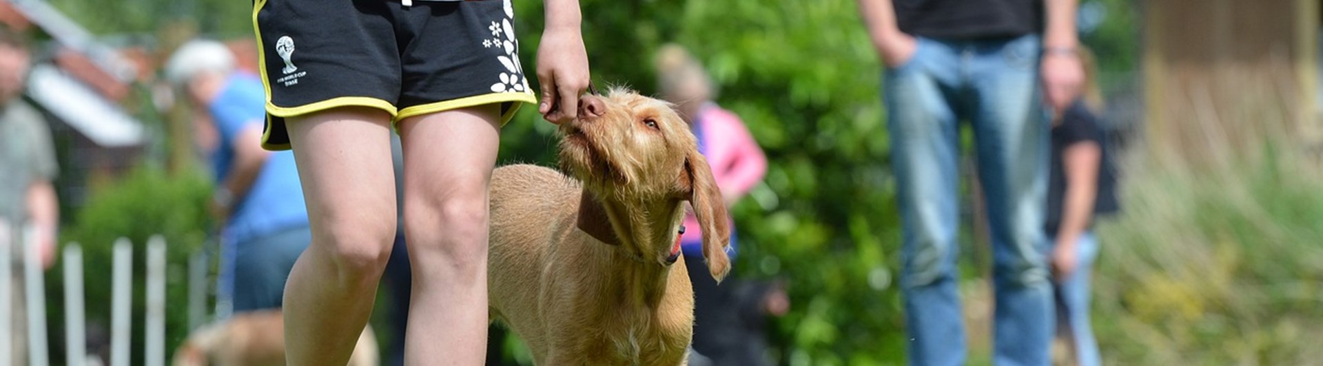 Barn som går fot med en valp