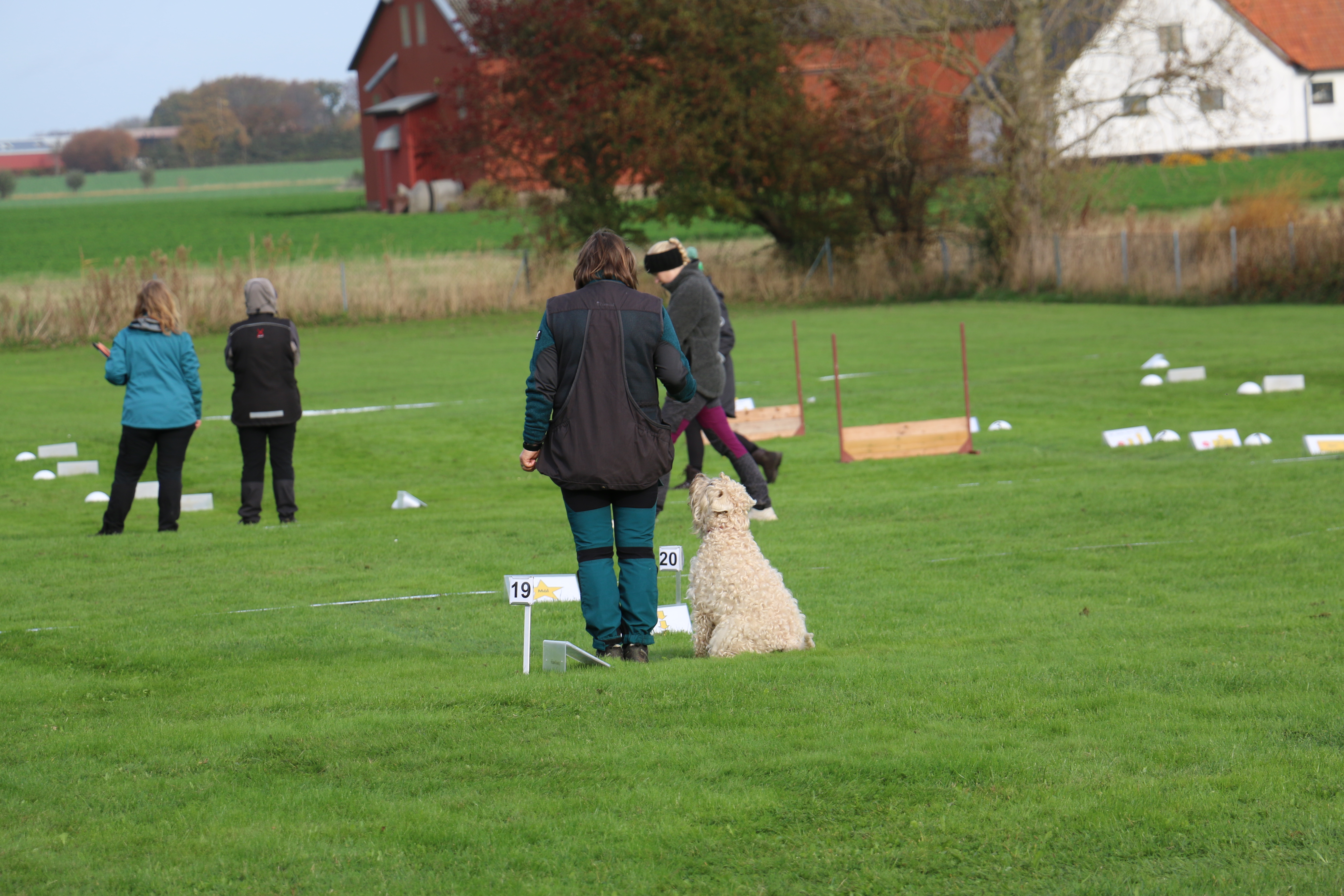 Sektorer - Trelleborgs Brukshundklubb