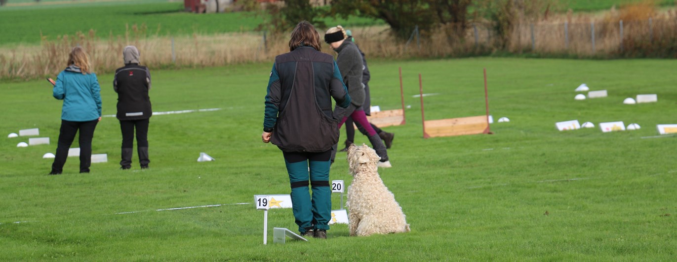 Tävling Rallylydnad Trelleborgs Brukshundklubb