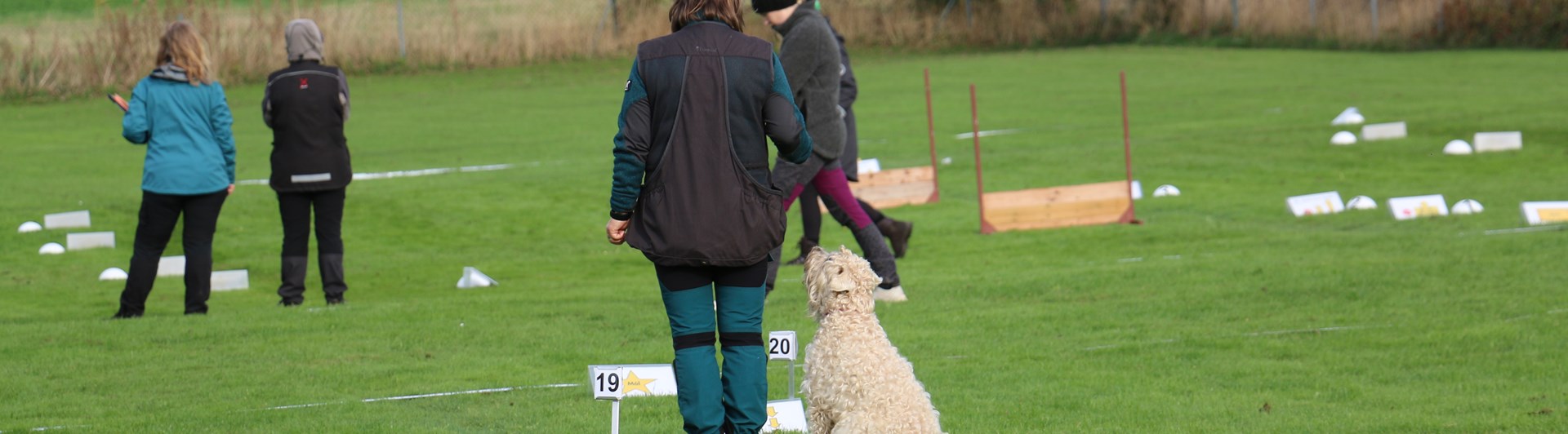 Tävling Rallylydnad Trelleborgs Brukshundklubb