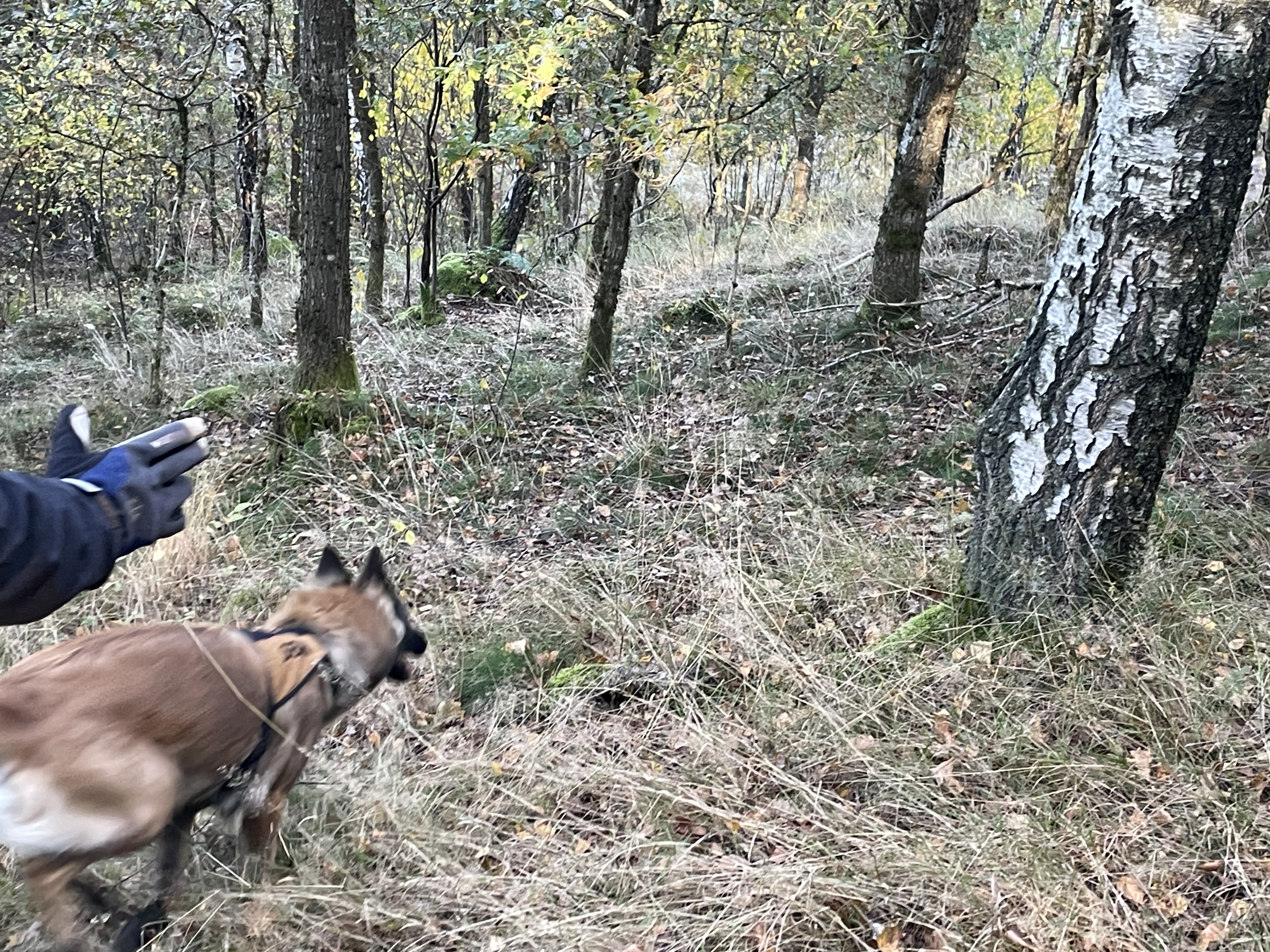 SAR-helg i Skåne 29-30 augusti