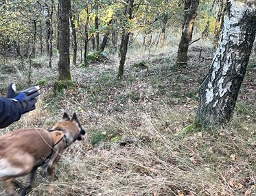 SAR-helg i Skåne 29-30 augusti