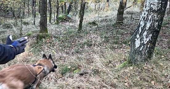 SAR-helg i Skåne 29-30 augusti