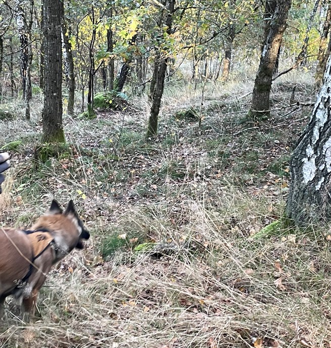 SAR-helg i Skåne 29-30 augusti