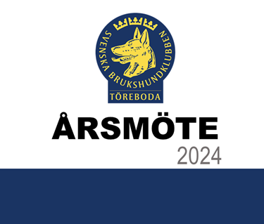 Årsmöte 2024