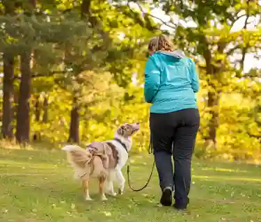 Två kompisar på hundpromenad