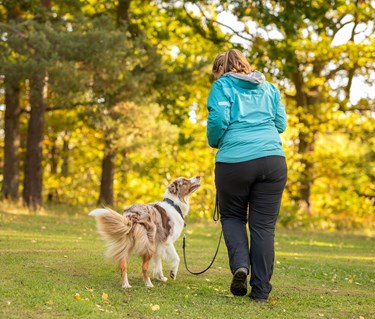 Två kompisar på hundpromenad