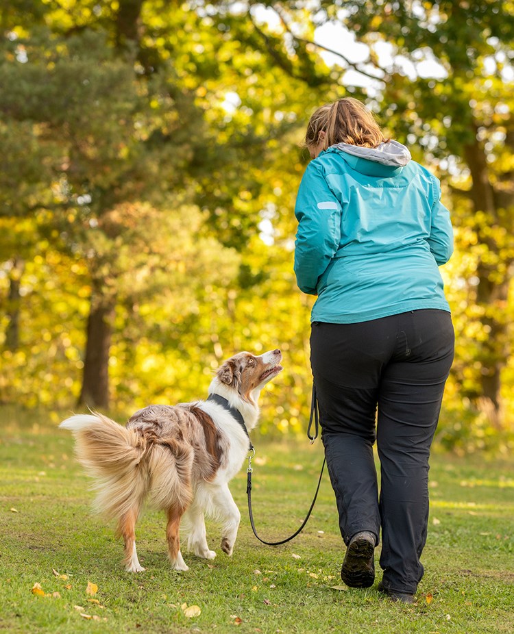 Två kompisar på hundpromenad