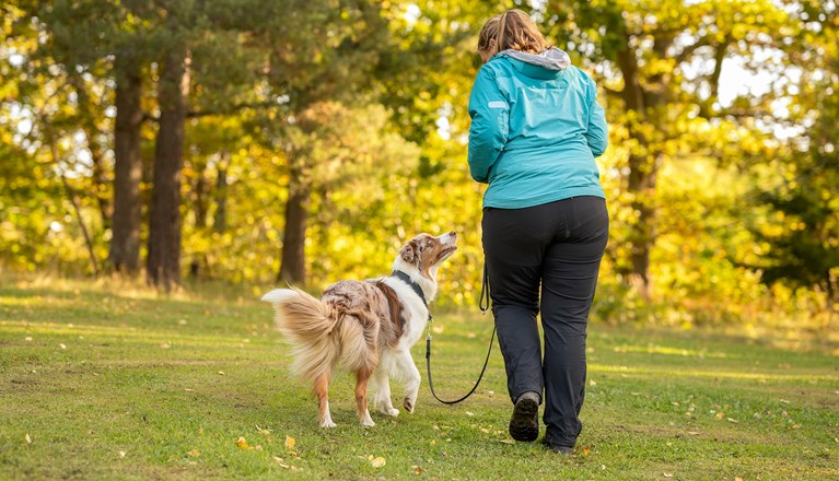 Två kompisar på hundpromenad