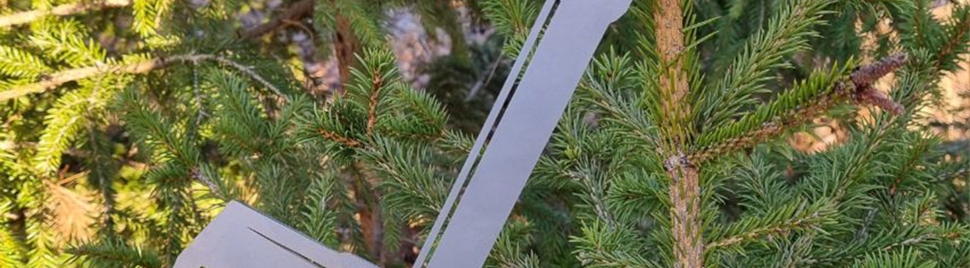 Hammarcupen Östhammar brukshundklubb