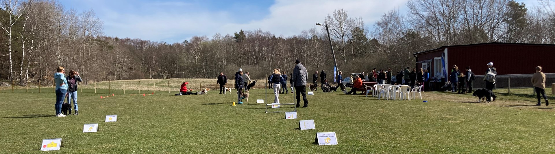Bilden visar en rad med rallylydnadsskyltar och några människor och hundar i bakgrunden