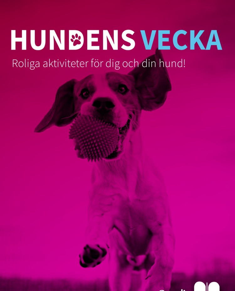 Hundens vecka