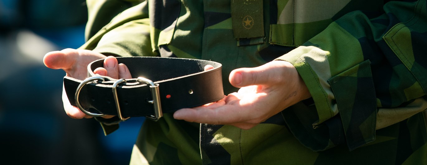 Fotograf: Magnus Fröderberg