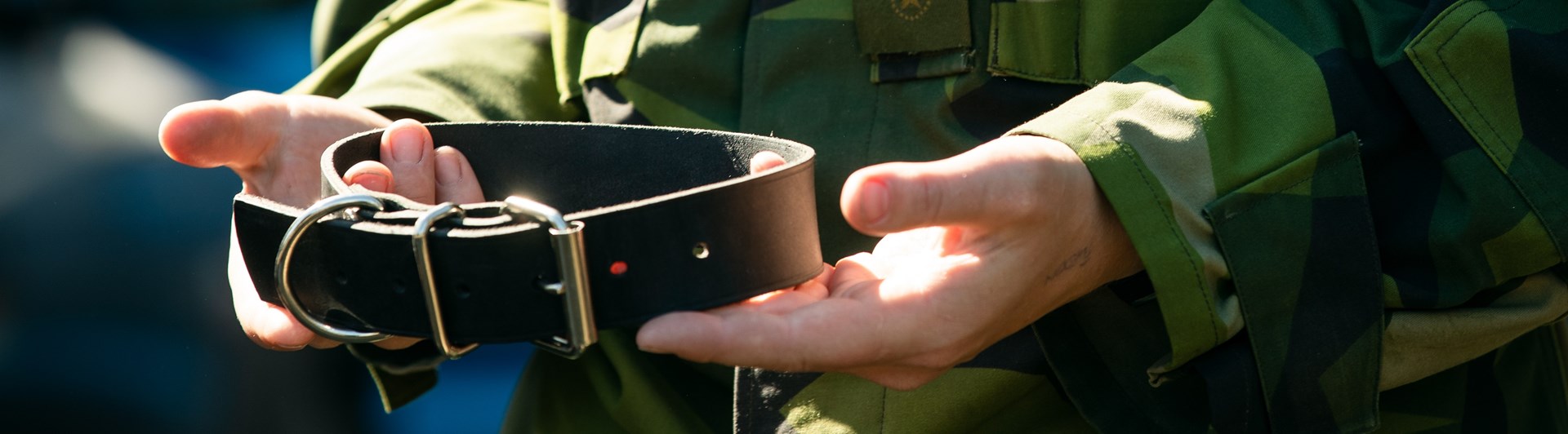 Fotograf: Magnus Fröderberg