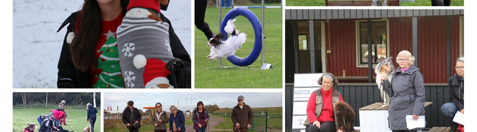 Samlingsbild från aktiviteter på Trelleborgs Brukshundklubb
Fotograf Annette Lundfall