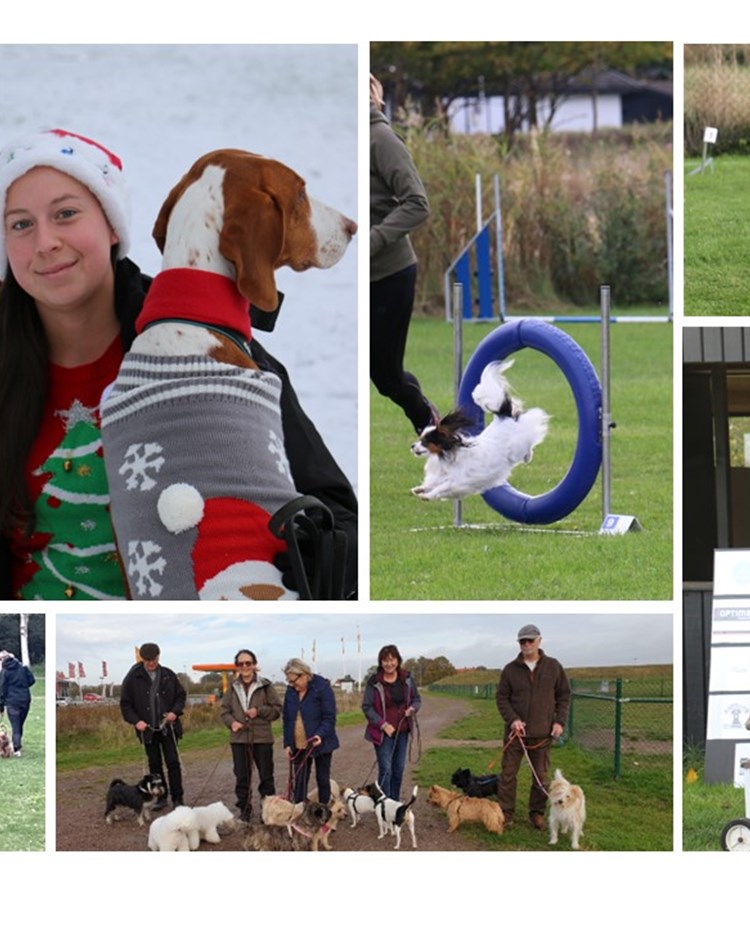Samlingsbild från aktiviteter på Trelleborgs Brukshundklubb
Fotograf Annette Lundfall