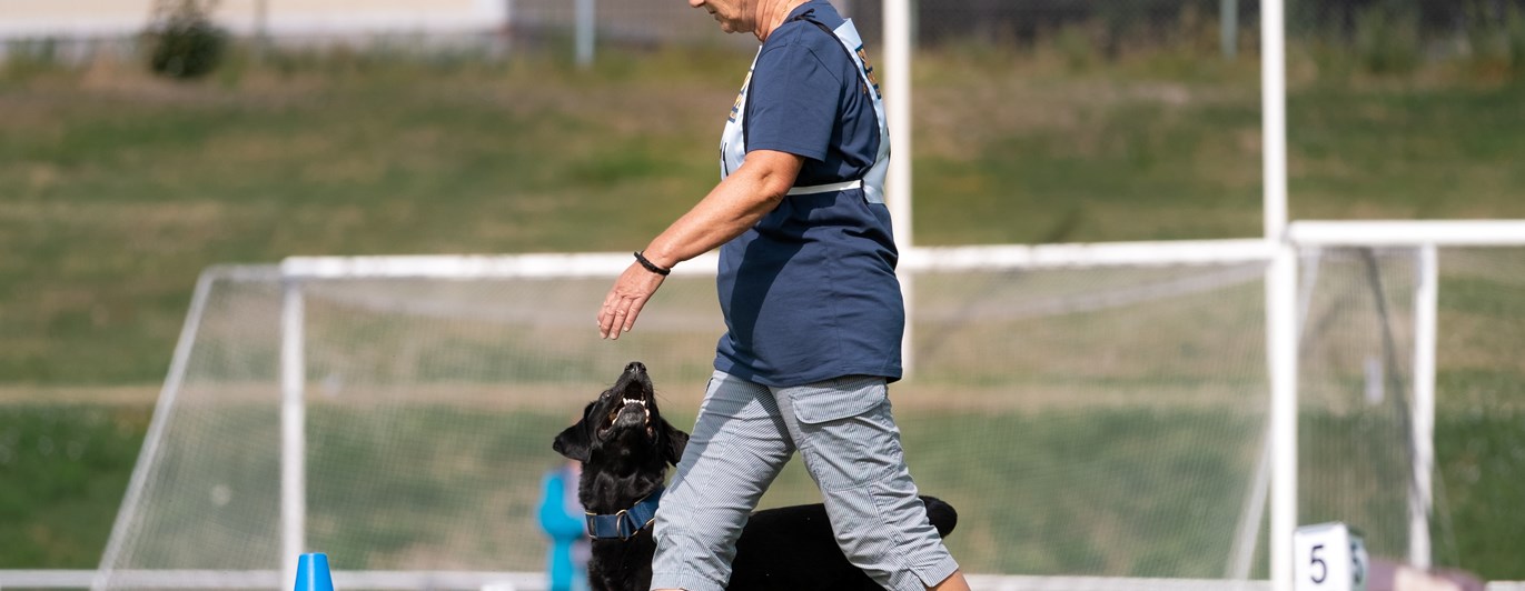 Yvonne med labradoren Gucci var med i SM i rallylydnad