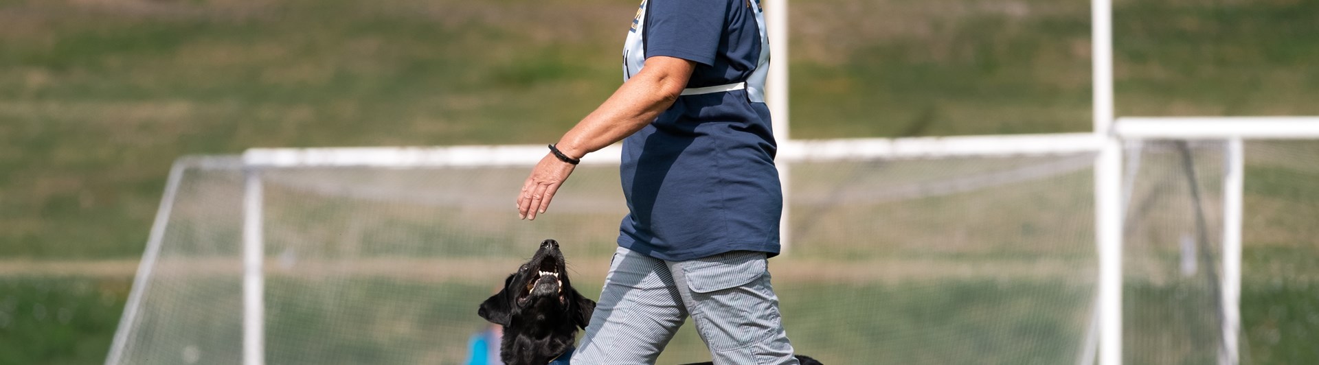 Yvonne med labradoren Gucci var med i SM i rallylydnad