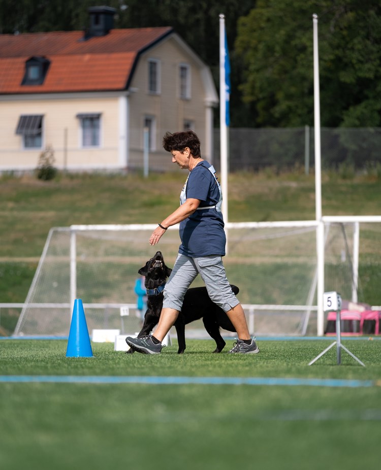 Yvonne med labradoren Gucci var med i SM i rallylydnad