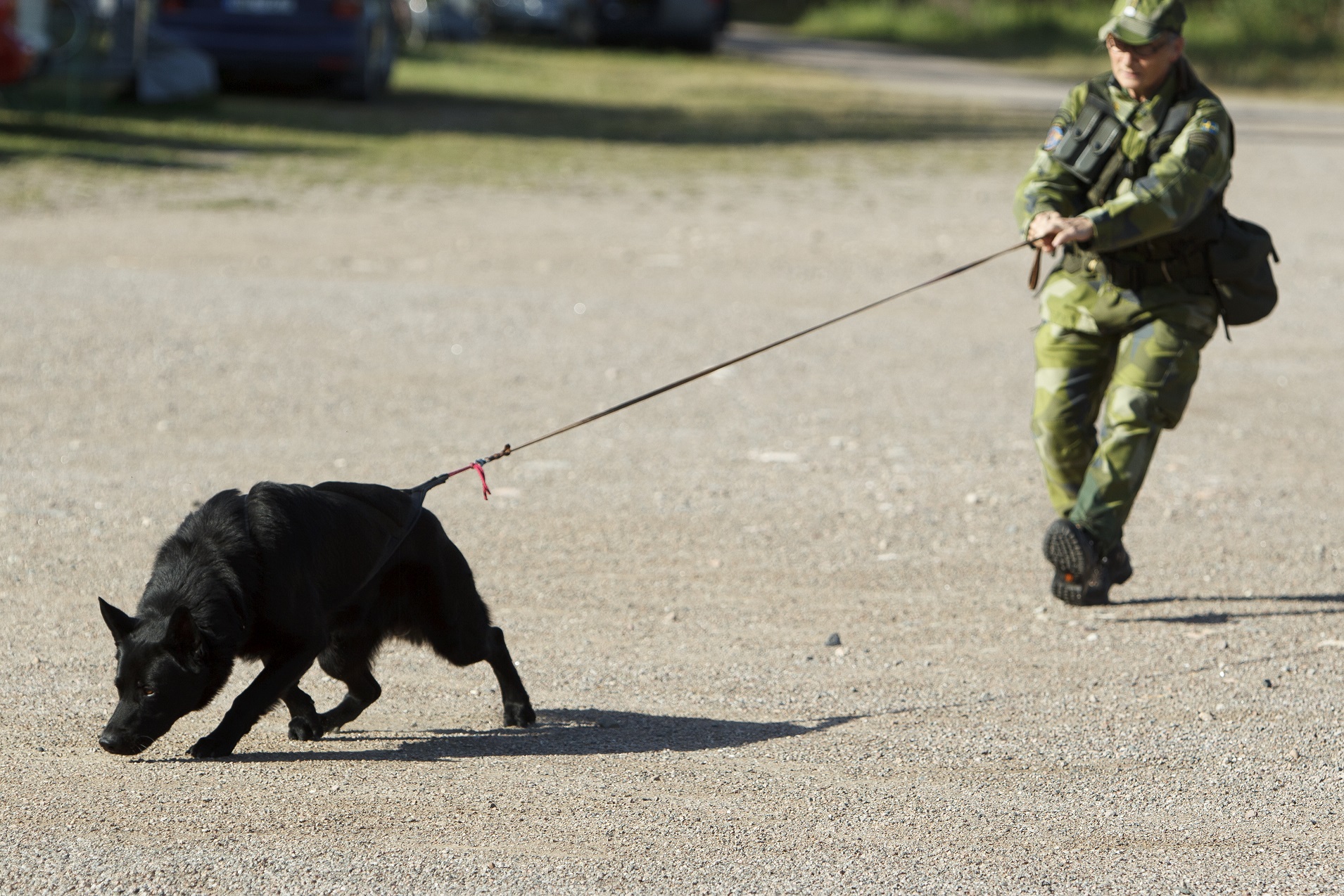 Fotograf: Magnus Fröderberg
