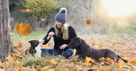 Kvinna sitter tillsammans med två hundar bland löv