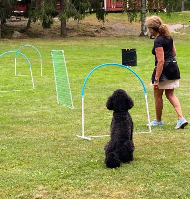 Hoopersträning