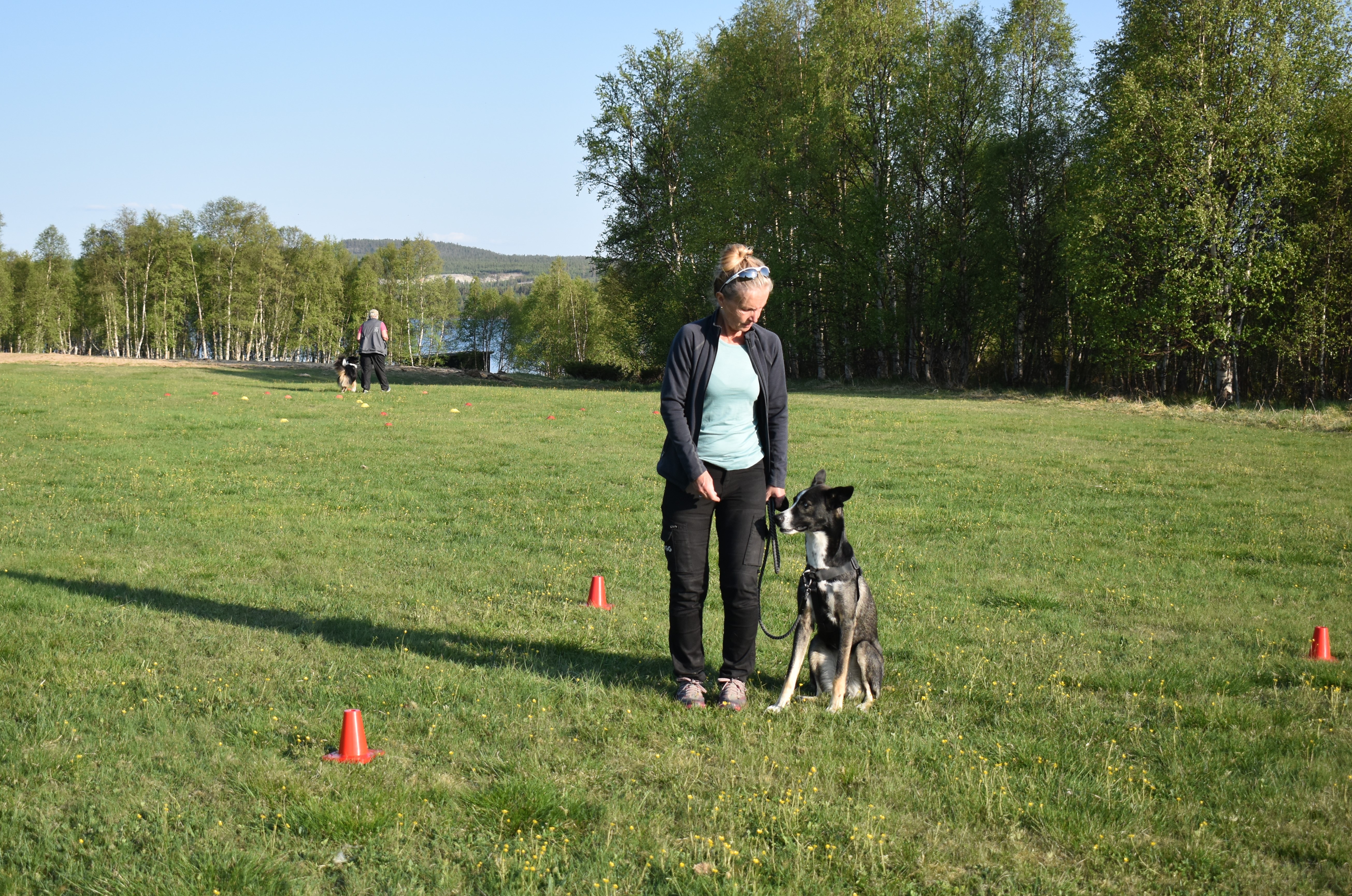 Allmänlydnadskurs på Hundholmen.