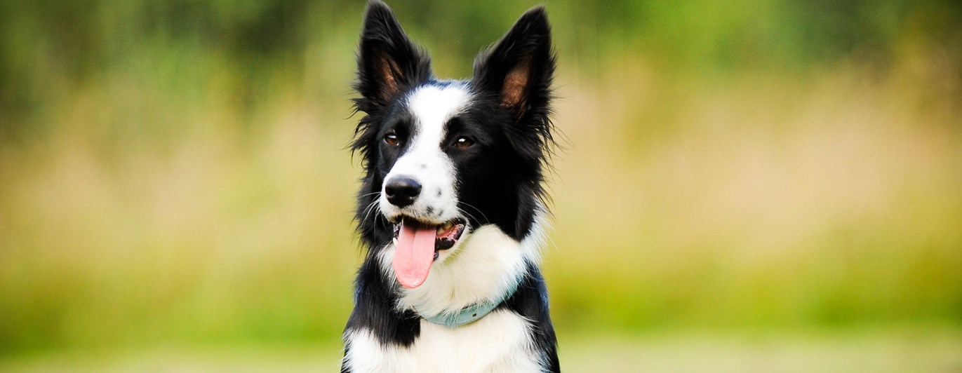 Foto: Julia Indergard