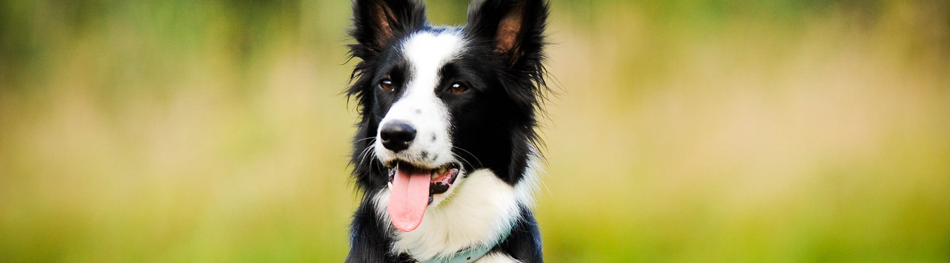 Foto: Julia Indergard