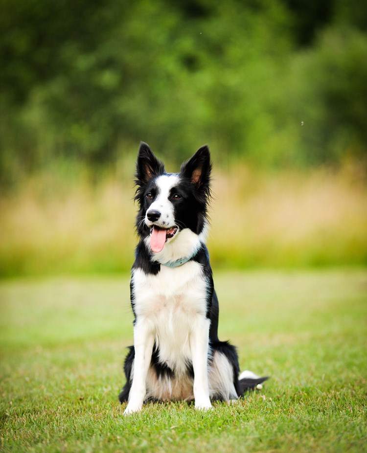 Foto: Julia Indergard