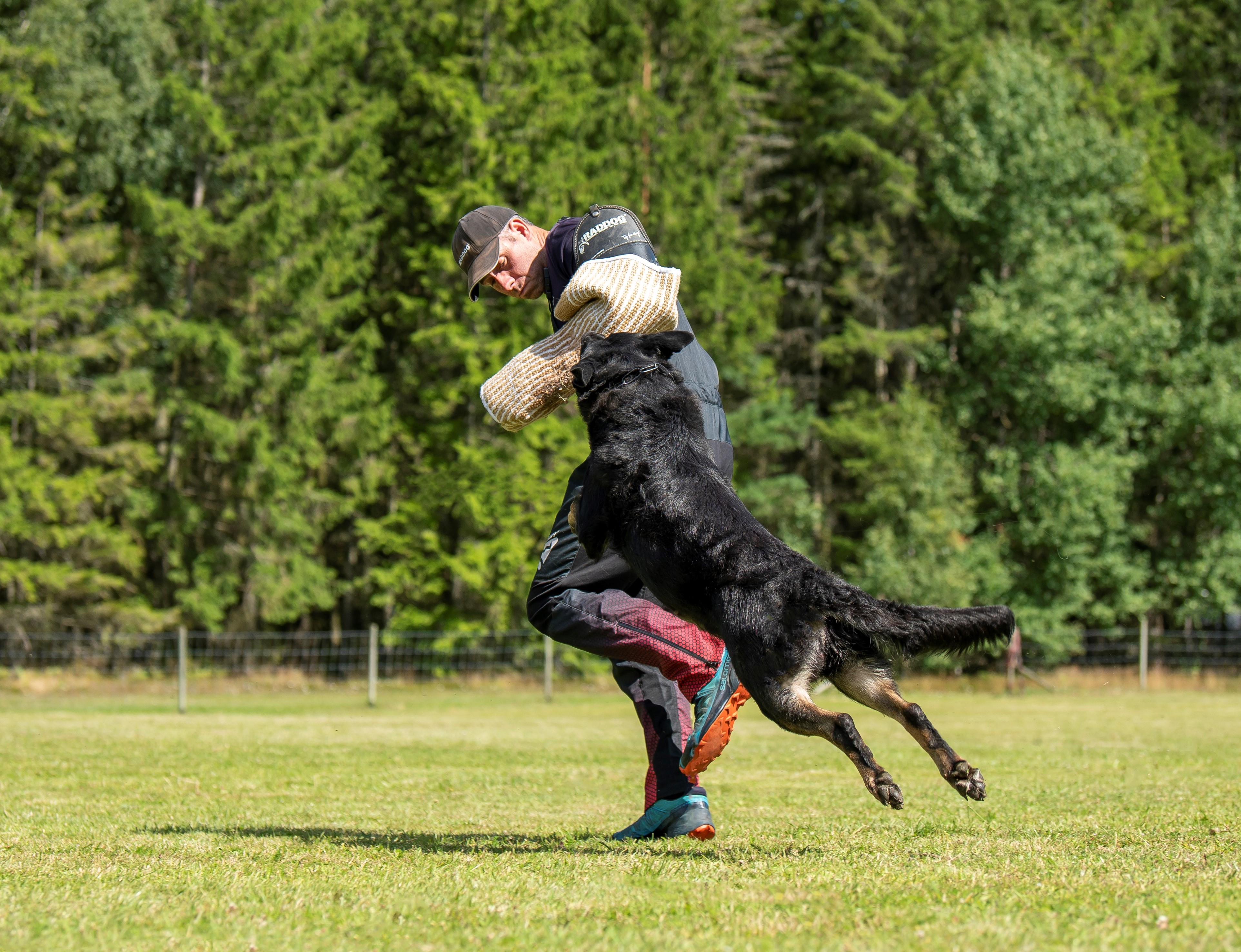 Bild regelbok IGP 2023