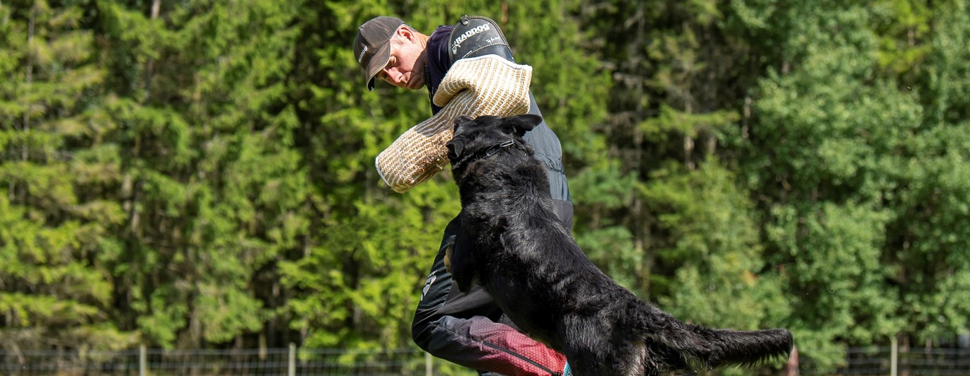 Bild regelbok IGP 2023