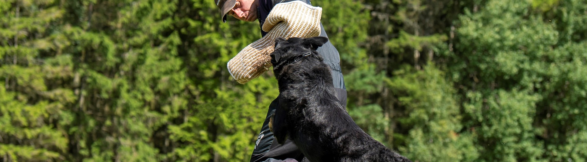 Bild regelbok IGP 2023