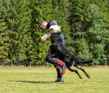 Bild regelbok IGP 2023