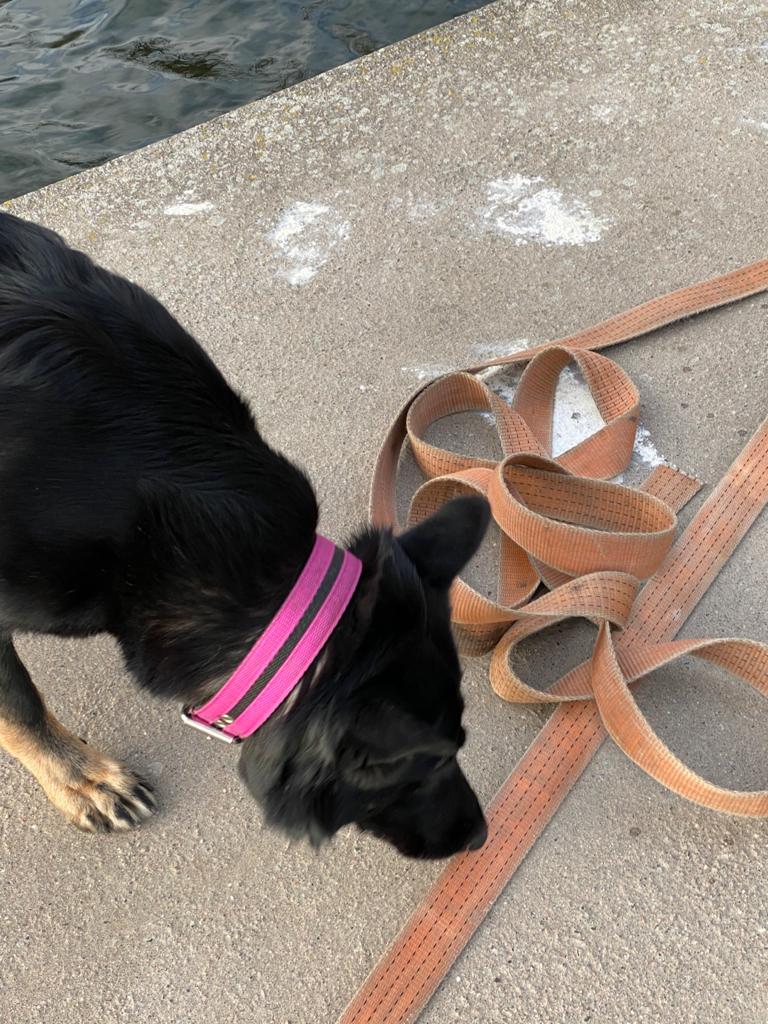 Byling markerar på gömma under spännbälte