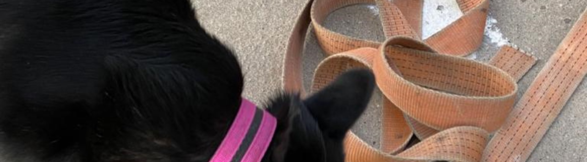 Byling markerar på gömma under spännbälte